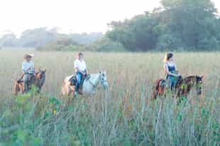 Explore Southern Pantanal on horseback