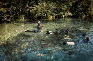 Snorkel in the clear rivers of Southern Pantanal