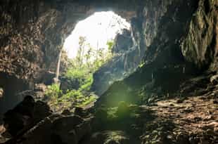 Explore the caves of Southern Pantanal