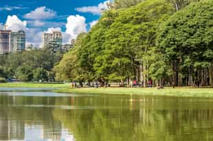 Take a stroll in Ibirapuera Park, São Paulo