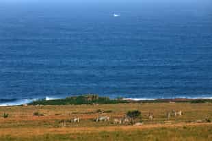 Enjoy a scenic nature drive at GweGwe