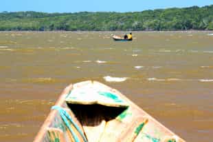 Go on a boating safari down Parnaíba River Delta
