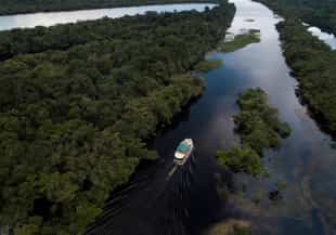 Go on a boating safari on the Amazon river