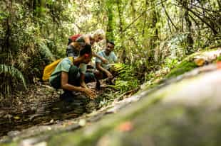 Observe flora and fauna on an Amazon nature walk