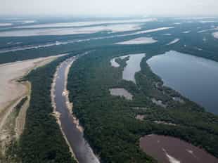 Explore the Anavilhanas National Park, Amazon