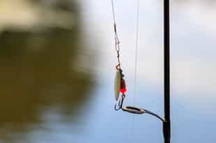 Cast a line out fishing in the Brazilian Amazon