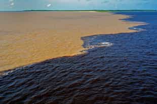 Witness the Meeting of Waters outside of Manaus