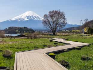 Take scenic hikes with views of Mount Fuji