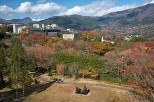 Experience Hakone's Open-Air Museum