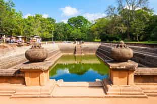 Explore the Kuttam Pokuna Twin Ponds