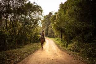 Explore Bonito on horseback