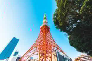 Take in views from the Tokyo Tower