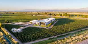 Enjoy a tasting at Viña Cobos, home of Paul Hobbs