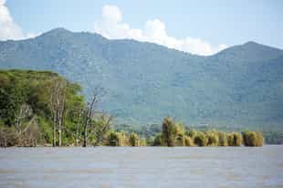 Take a boat ride on Lake Chamo