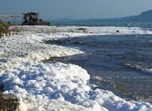 Visit Lake Afrera, a hypersaline lake 