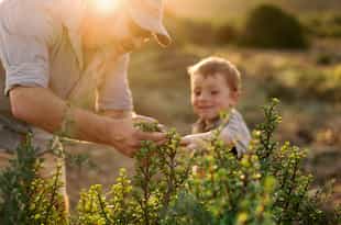 Plant spekboom in the Eastern Cape