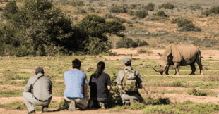 Learn about anti-poaching in the Eastern Cape