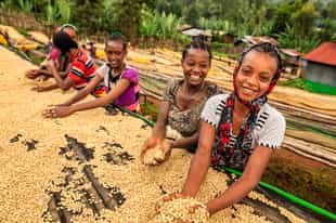 Learn about coffee making in Lalibela