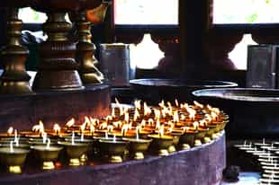 Attend a blessing ceremony in Gangtey