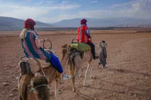 Go on a camel ride in Agafay Desert from Marrakesh