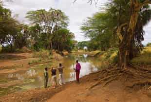 Go on the KWS Ranger bush walk in Tsavo
