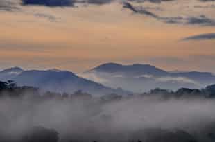 Make a stop at Carara National Park