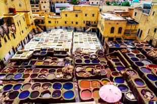 Visit the Choura Tanneries in Fez