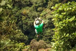 Zipline through Panama's cloud forest