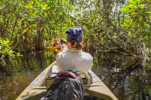 Explore Isla Palenque's coast by paddleboard or kayak