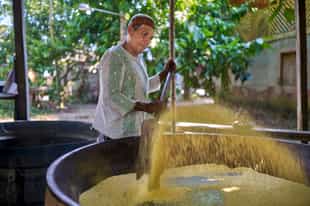 Explore Amazonian cuisine with a traditional cooking class