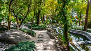 Explore the Norbulingka Institute in Dharamsala