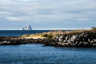 Visit Lobos Islet, San Cristobal