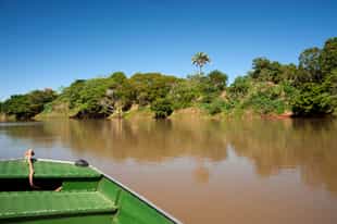 Go on a boating safari in Mato Grosso
