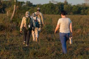 Observe flora and fauna on a walk in Mato Grosso
