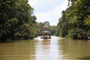 Go on a boating safari in the Amazonas