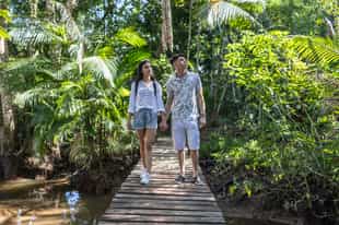 Observe flora and fauna on a walk in the Amazonas