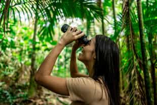 Go on a bird watching safari in the Amazonas