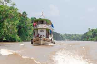 Go on a boating safari in Para