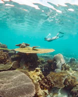 Enjoy the rich marine park & history of Nosy Tanikely