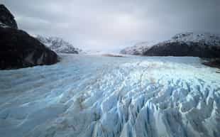 Visit Glacier Guillard and Bay of Sarratea
