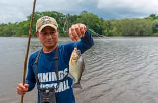 Try recreational fishing in the Mato Grosso