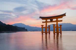 Explore Itsukushima Shrine, Miyajima Island