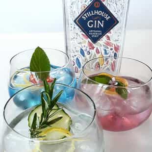 Enjoy a gin tasting experience at the Stillhouse Distillery