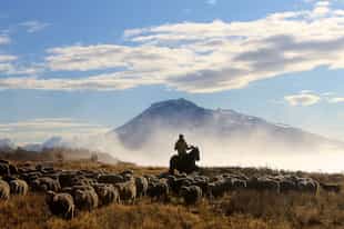 Enjoy a Full Day at La Península Estancia