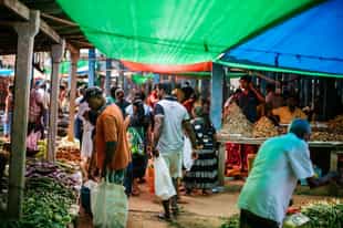 Visit the Anamaduwa friday market 