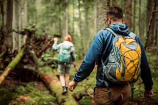 Take a trekking excursion