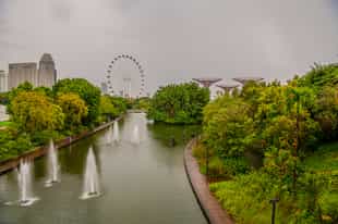 Enjoy a Half Day Gardens by the Bay and an Orchid Garden tour