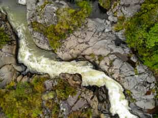 Hike the trails of the Pita River Loop