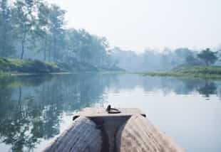 Spot wildlife on a canoe safari in Bardia NP