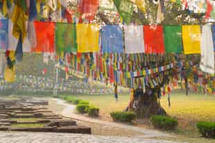 Visit the Sacred Garden in Lumbini